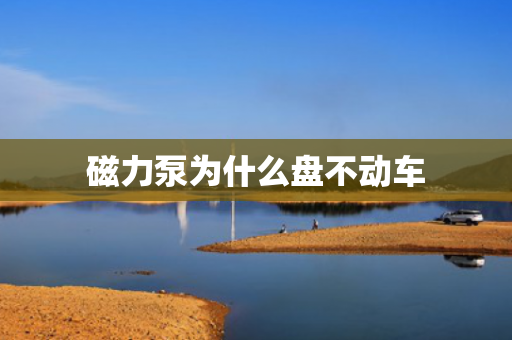 磁力泵為什么盤不動車