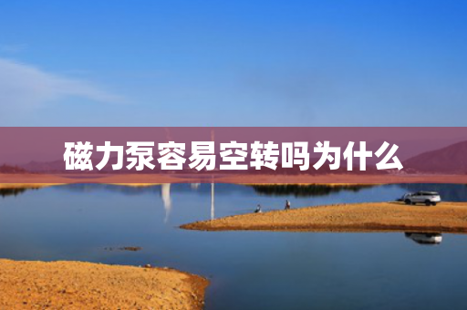 磁力泵容易空轉嗎為什么