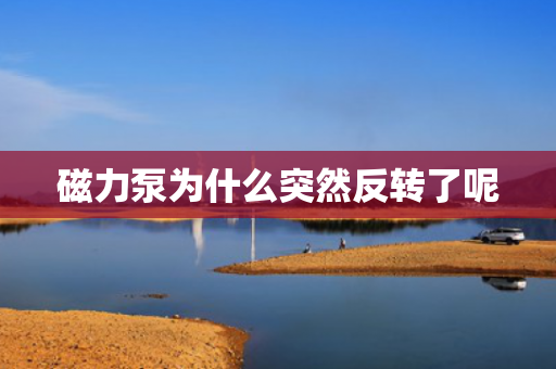 磁力泵為什么突然反轉了呢