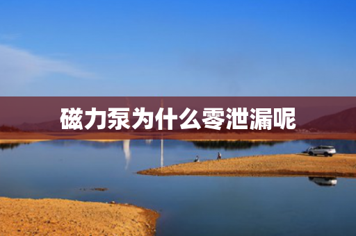 磁力泵為什么零泄漏呢