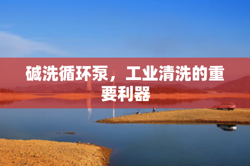 堿洗循環(huán)泵，工業(yè)清洗的重要利器