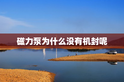 磁力泵為什么沒有機封呢