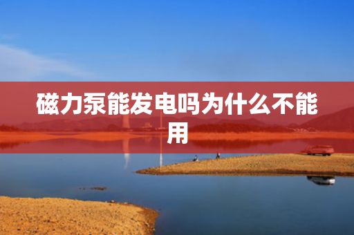 磁力泵能發(fā)電嗎為什么不能用