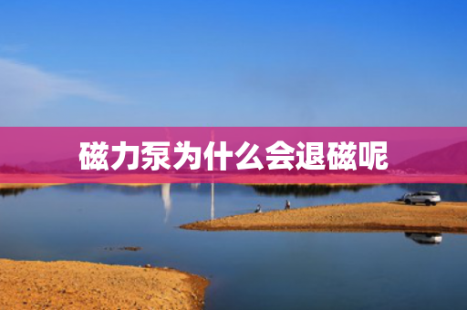 磁力泵為什么會退磁呢
