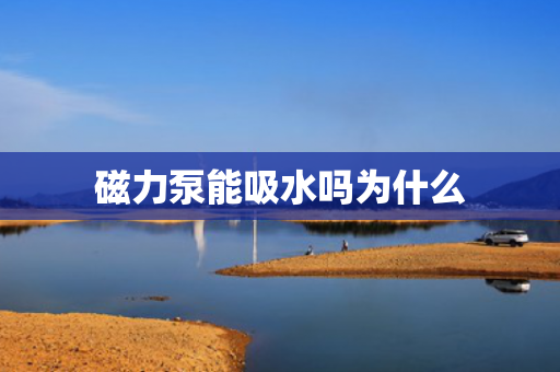 磁力泵能吸水嗎為什么
