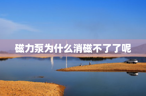 磁力泵為什么消磁不了了呢
