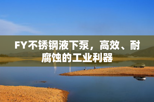 FY不銹鋼液下泵<div   id=