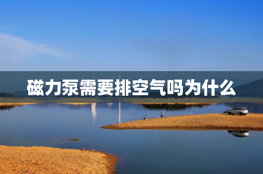 磁力泵需要排空氣嗎為什么