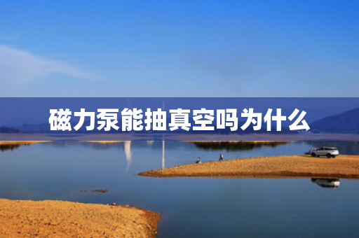 磁力泵能抽真空嗎為什么