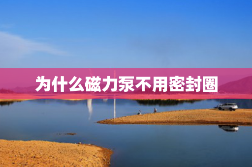 為什么磁力泵不用密封圈