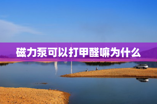磁力泵可以打甲醛嘛為什么