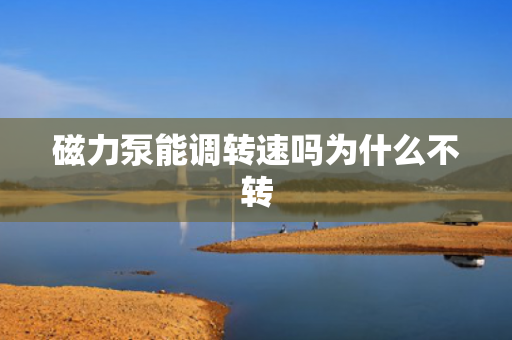 磁力泵能調(diào)轉(zhuǎn)速嗎為什么不轉(zhuǎn)