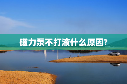 磁力泵不打液什么原因?