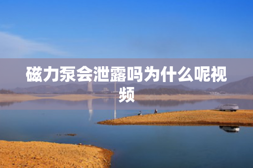 磁力泵會(huì)泄露嗎為什么呢視頻