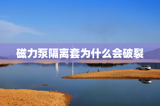 磁力泵隔離套為什么會破裂