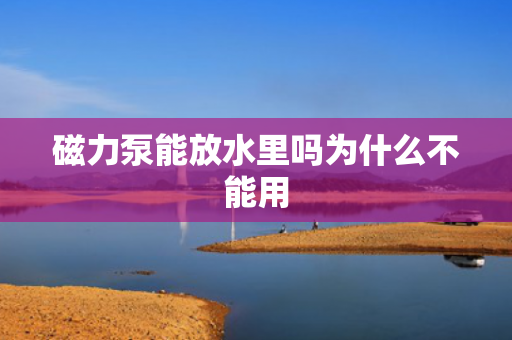 磁力泵能放水里嗎為什么不能用