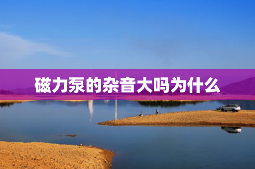 磁力泵的雜音大嗎為什么