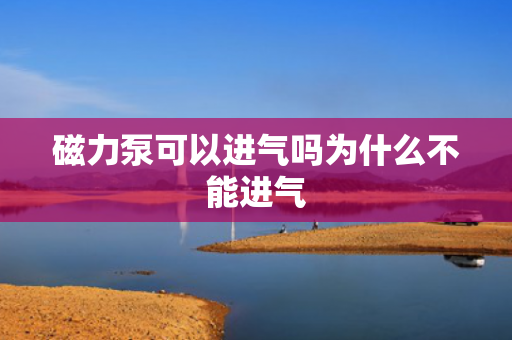 磁力泵可以進(jìn)氣嗎為什么不能進(jìn)氣