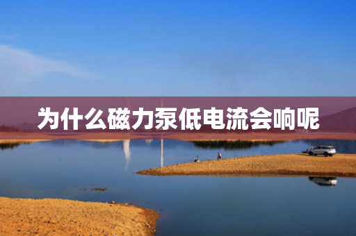 為什么磁力泵低電流會響呢
