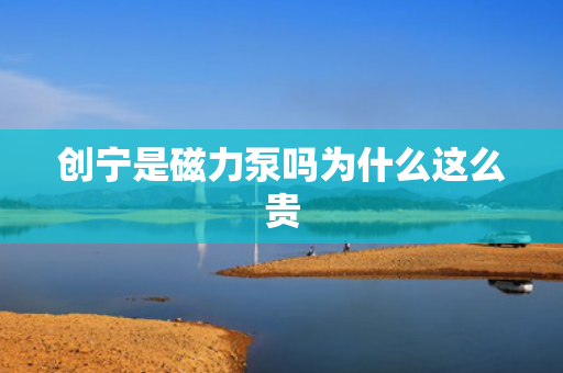 創(chuàng)寧是磁力泵嗎為什么這么貴