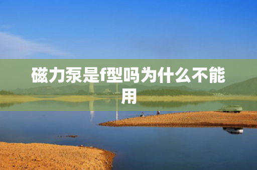 磁力泵是f型嗎為什么不能用