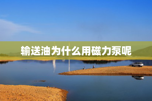 輸送油為什么用磁力泵呢