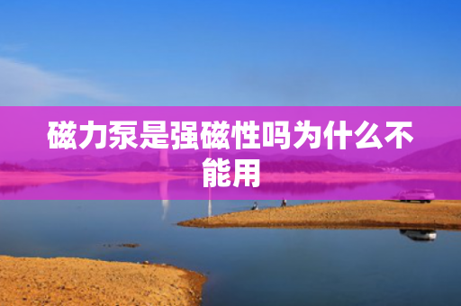 磁力泵是強(qiáng)磁性嗎為什么不能用
