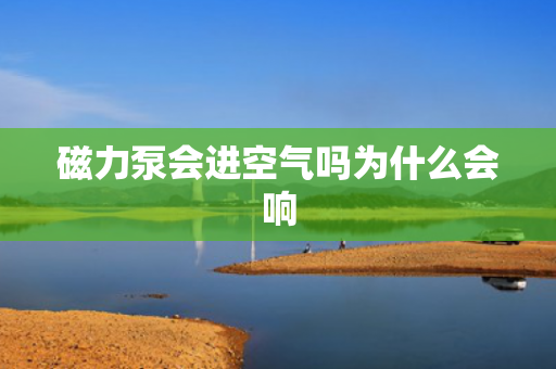 磁力泵會(huì)進(jìn)空氣嗎為什么會(huì)響