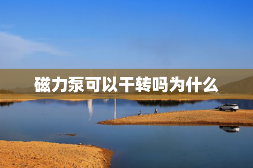 磁力泵可以干轉(zhuǎn)嗎為什么
