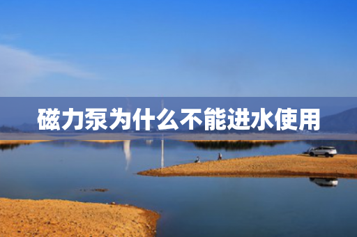 磁力泵為什么不能進(jìn)水使用