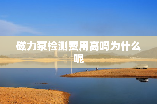 磁力泵檢測(cè)費(fèi)用高嗎為什么呢