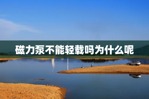磁力泵不能輕載嗎為什么呢