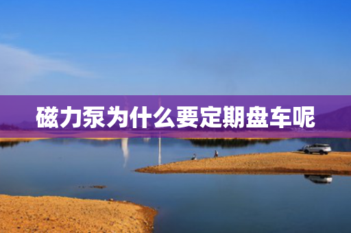 磁力泵為什么要定期盤車呢