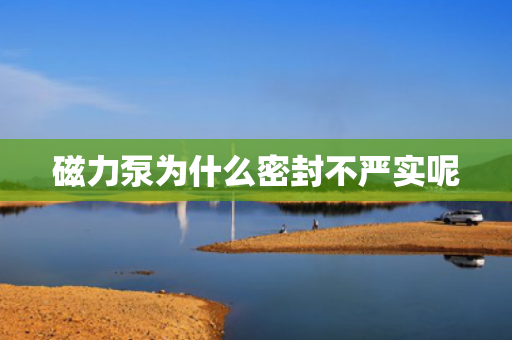 磁力泵為什么密封不嚴(yán)實(shí)呢