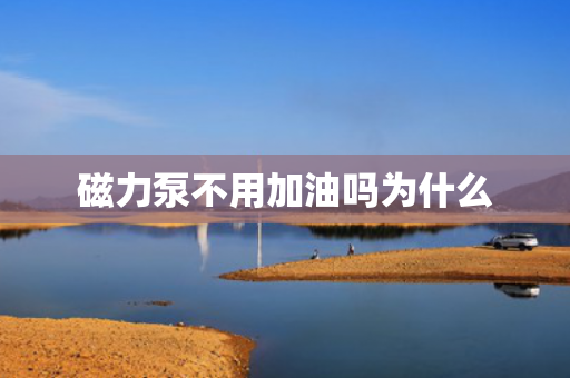 磁力泵不用加油嗎為什么