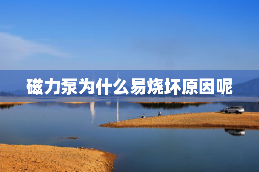磁力泵為什么易燒壞原因呢