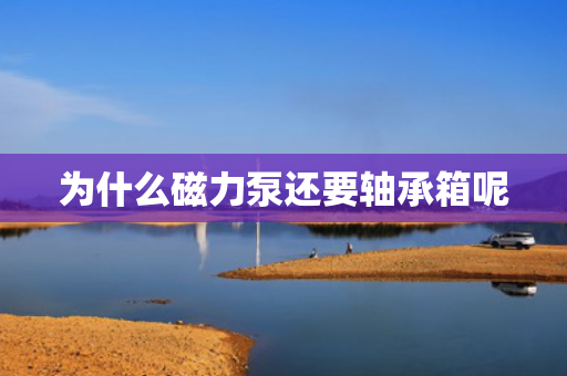 為什么磁力泵還要軸承箱呢