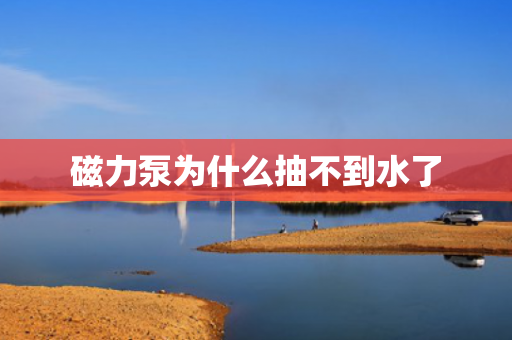 磁力泵為什么抽不到水了
