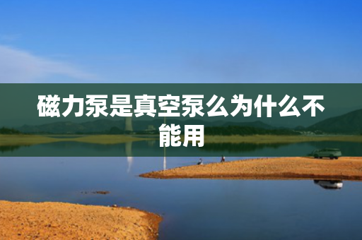 磁力泵是真空泵么為什么不能用