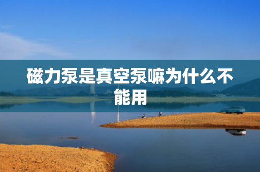 磁力泵是真空泵嘛為什么不能用