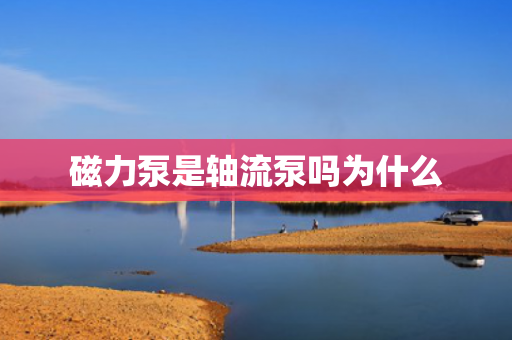 磁力泵是軸流泵嗎為什么