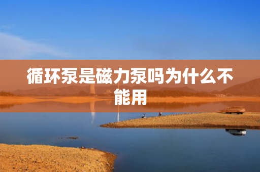 循環(huán)泵是磁力泵嗎為什么不能用