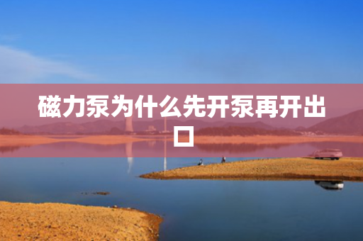 磁力泵為什么先開泵再開出口