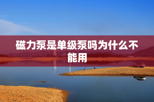 磁力泵是單級泵嗎為什么不能用