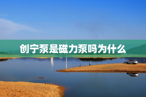 創(chuàng)寧泵是磁力泵嗎為什么