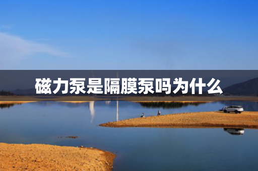 磁力泵是隔膜泵嗎為什么