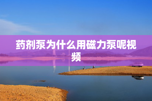 藥劑泵為什么用磁力泵呢視頻