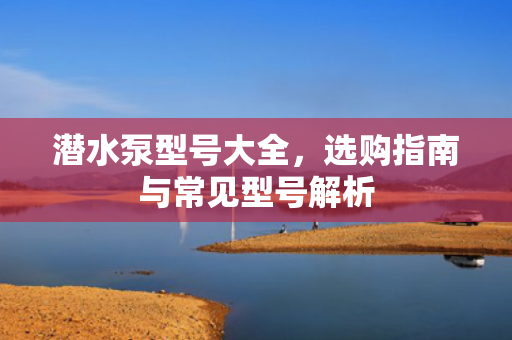 潛水泵型號大全，選購指南與常見型號解析