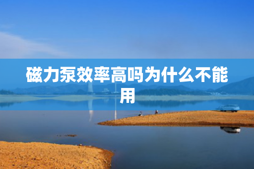 磁力泵效率高嗎為什么不能用