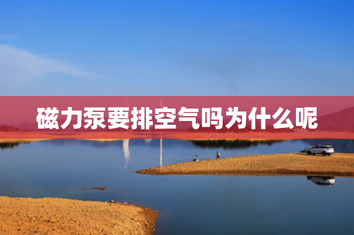 磁力泵要排空氣嗎為什么呢
